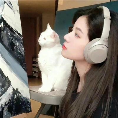 使君有妇